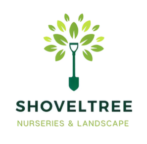 Shovel Tree